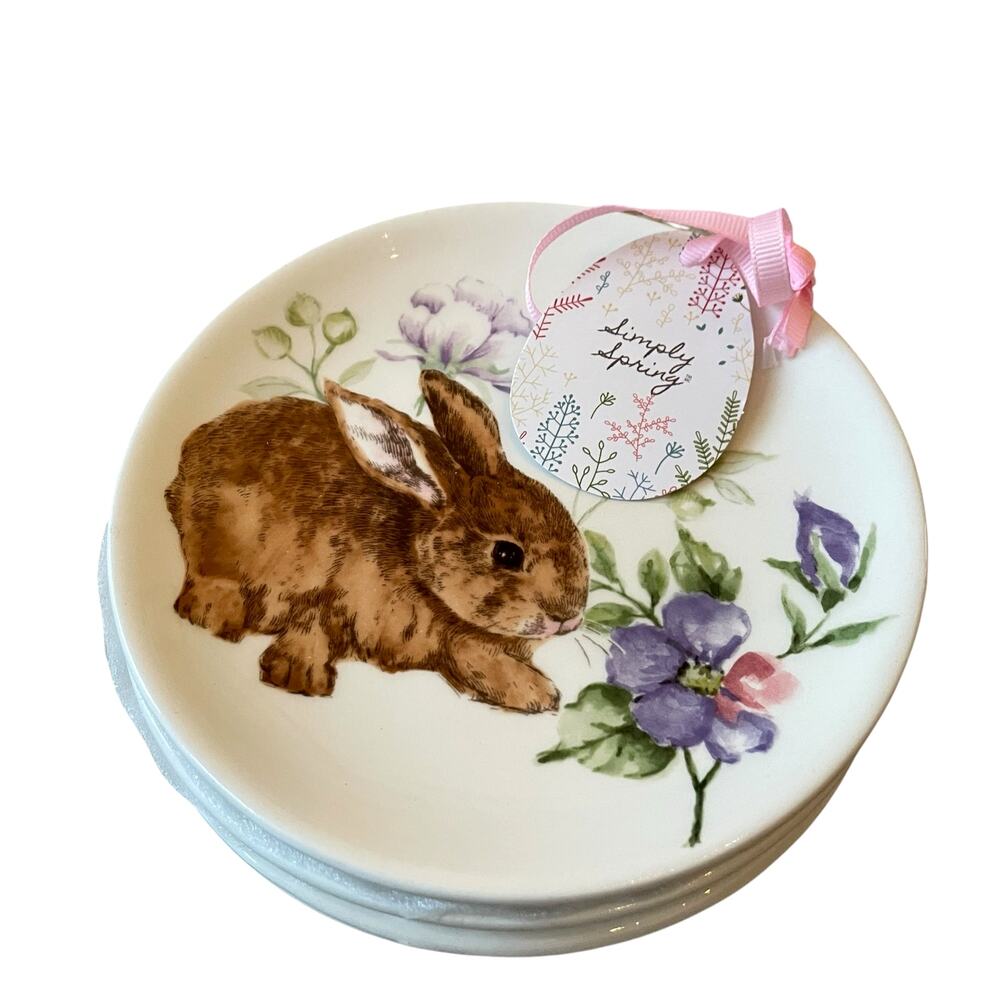 Maxcera Spring Easter Bunny Ceramic Appetizer Dessert Plate Set of 4 NWT